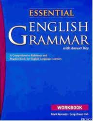 Essential English Grammar, Workbook