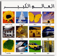 Teach Kids Arabic: My BIG World Book