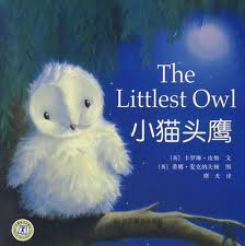 The Littlest Owl