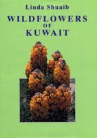 Wildflowers of Kuwait